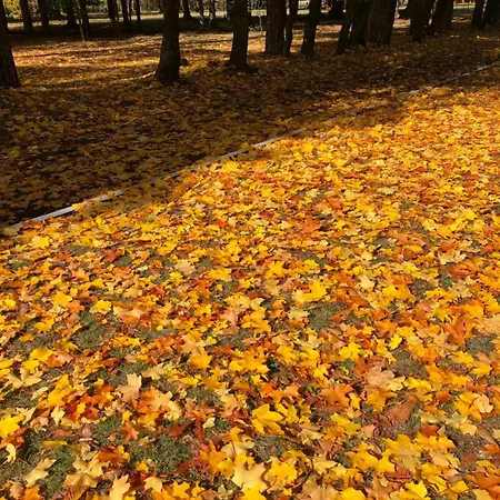 Rila North Gasthuis *