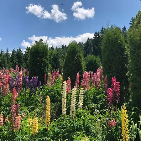 Rila North * サモコフ