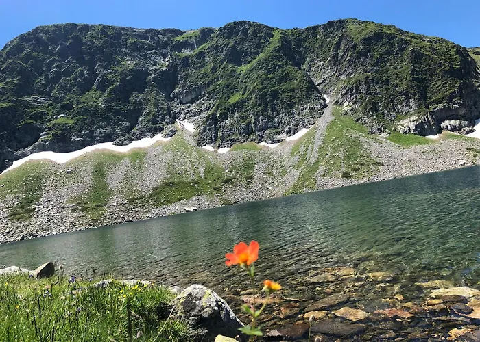 Rila North بيت ضيافة ساموكوف