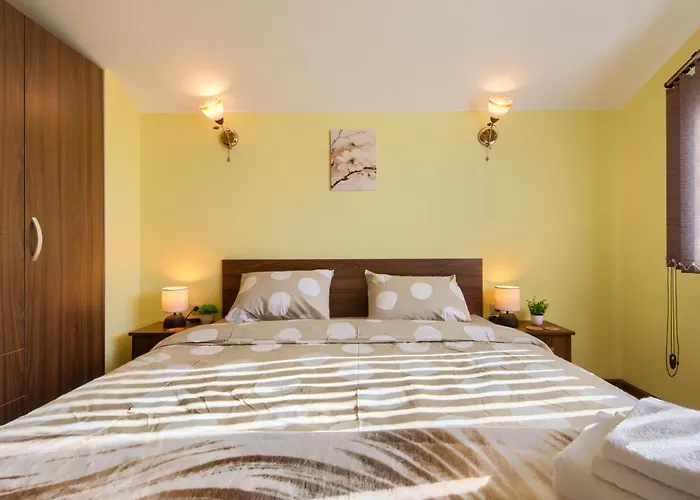 Rila North بيت ضيافة ساموكوف